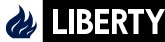 Liberty Steel Group